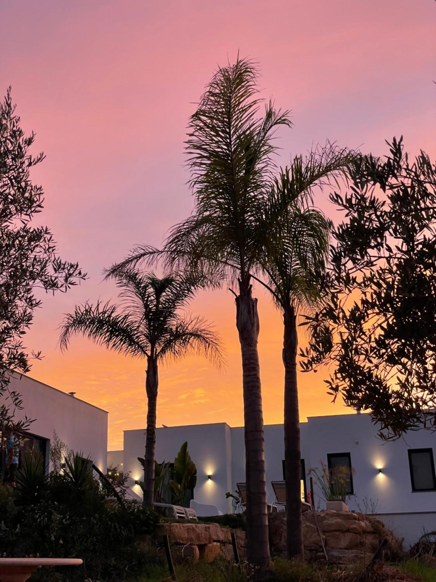 B&B Quinta A Fonte Tavira - Adults Only エクステリア 写真