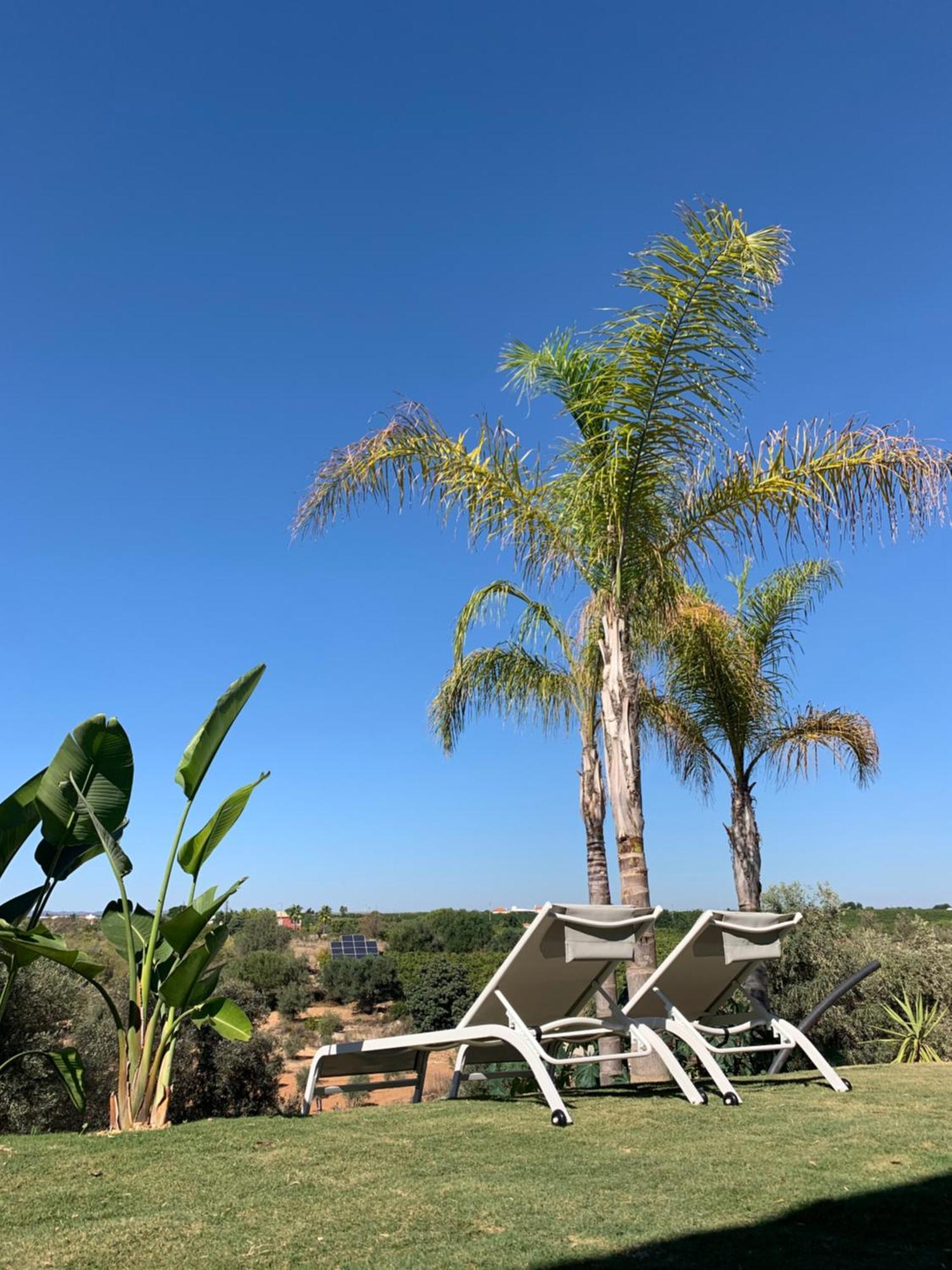 B&B Quinta A Fonte Tavira - Adults Only エクステリア 写真