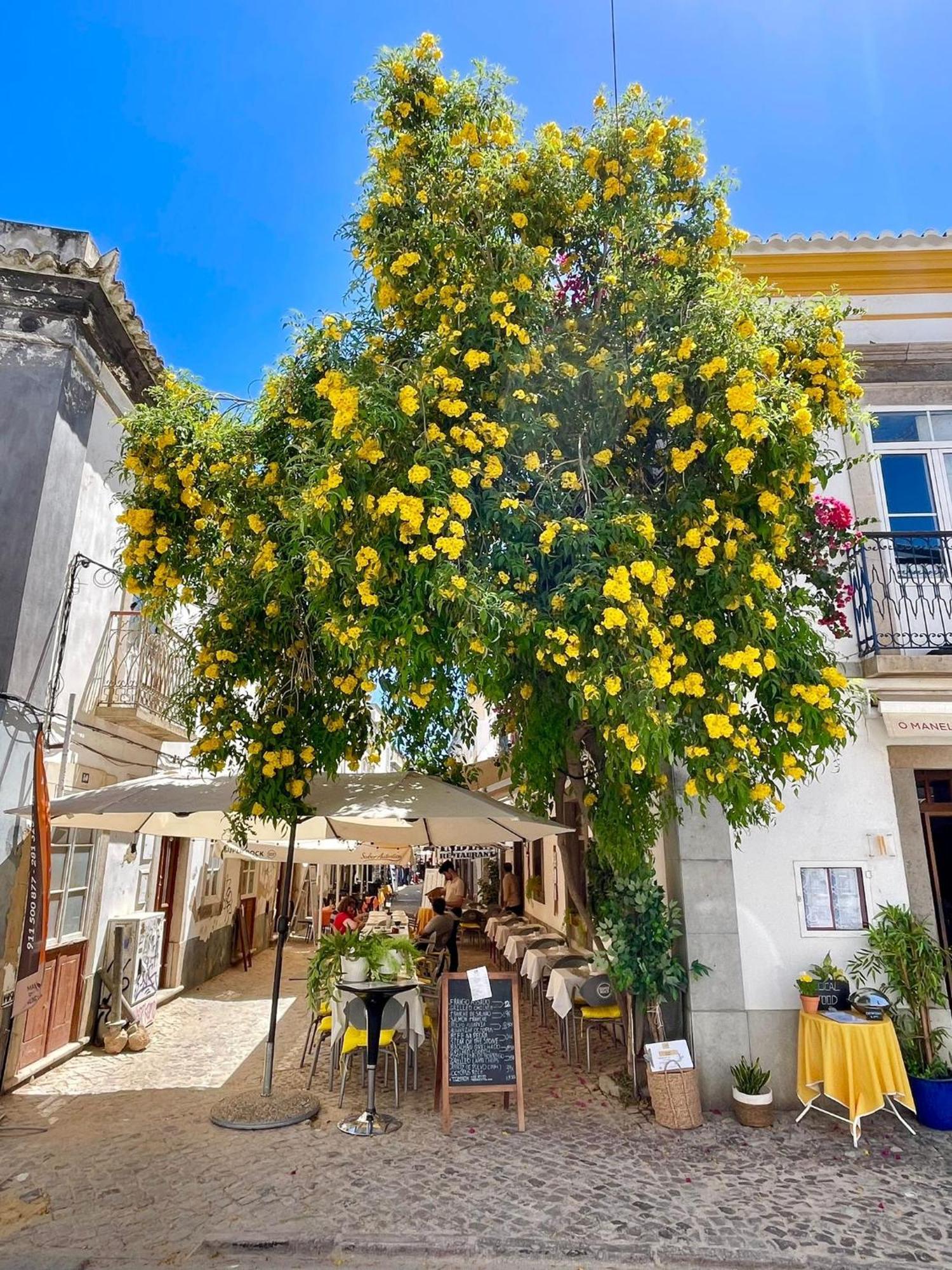B&B Quinta A Fonte Tavira - Adults Only エクステリア 写真