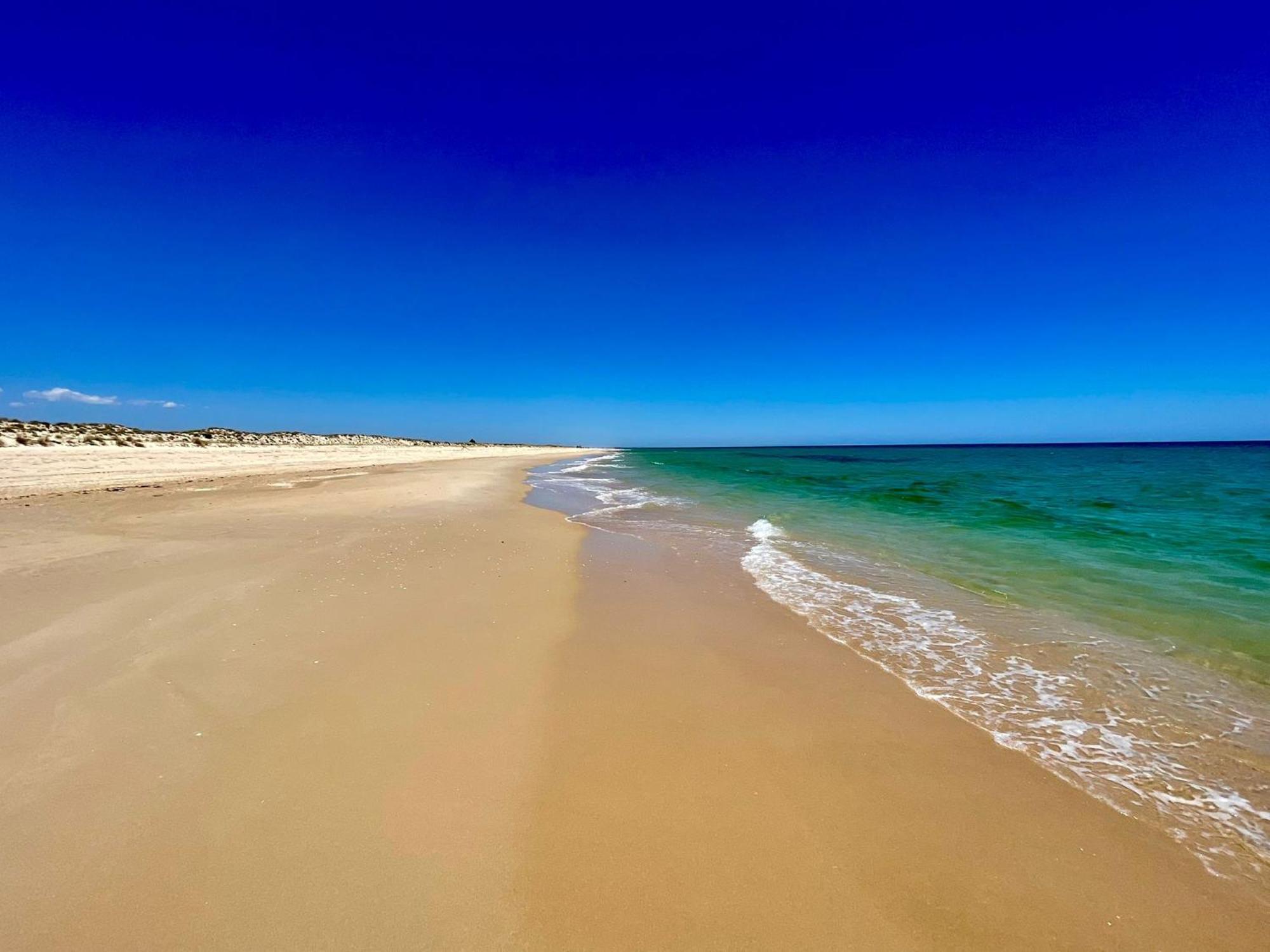 B&B Quinta A Fonte Tavira - Adults Only エクステリア 写真