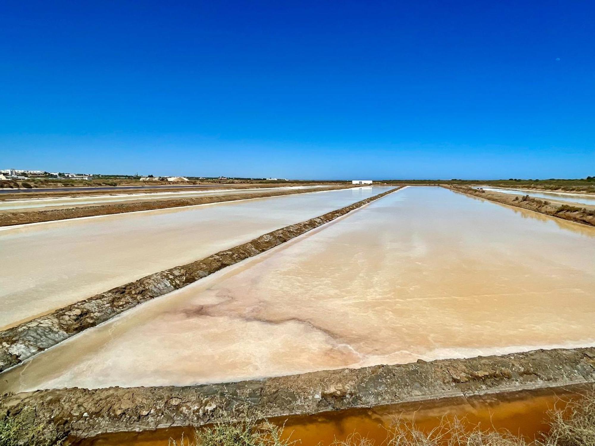 B&B Quinta A Fonte Tavira - Adults Only エクステリア 写真