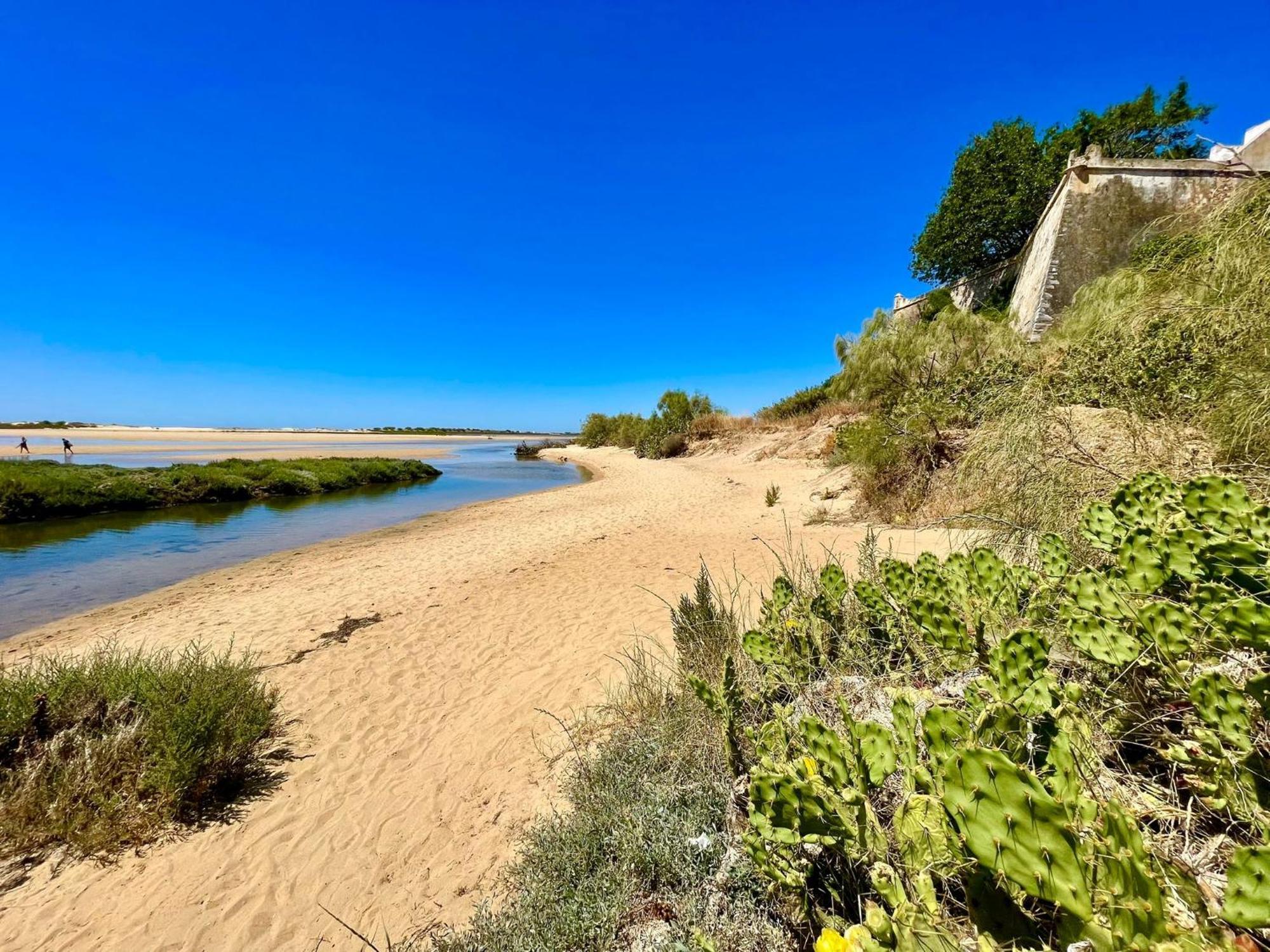 B&B Quinta A Fonte Tavira - Adults Only エクステリア 写真