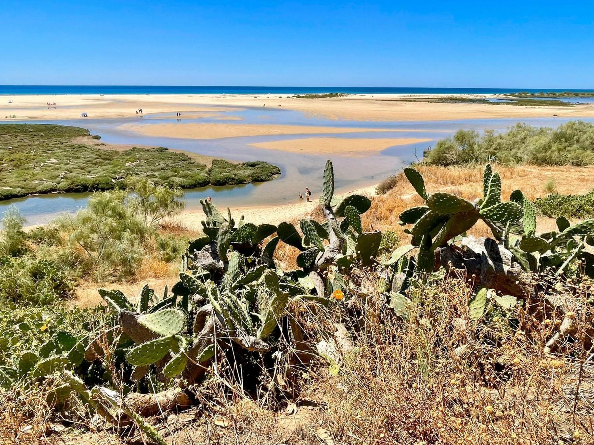 B&B Quinta A Fonte Tavira - Adults Only エクステリア 写真